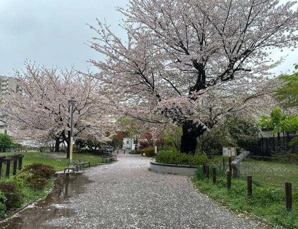 フリーディオ四谷三丁目(新宿区立富久さくら公園)