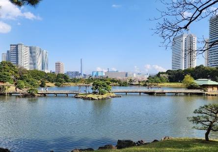 リビオレゾン新虎通り(浜離宮恩賜庭園)