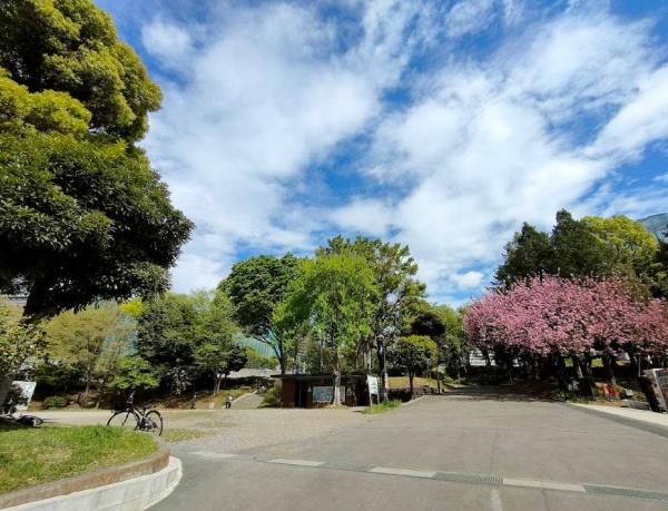 インフィニティ南青山(都立青山公園)