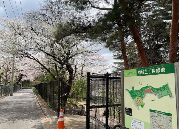 世田谷区成城2丁目の新築一戸建(成城三丁目緑地)