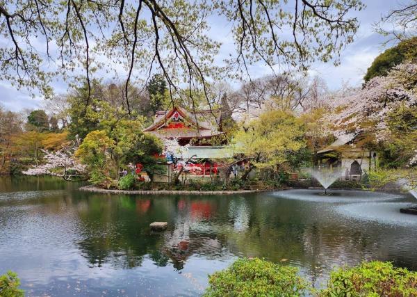 三鷹市下連雀1丁目の土地(井の頭恩賜公園)