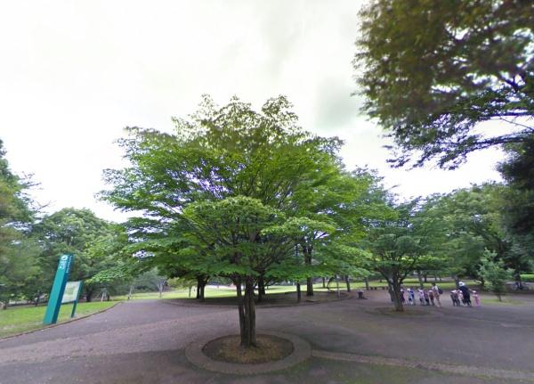 シエル千歳烏山(祖師谷公園)