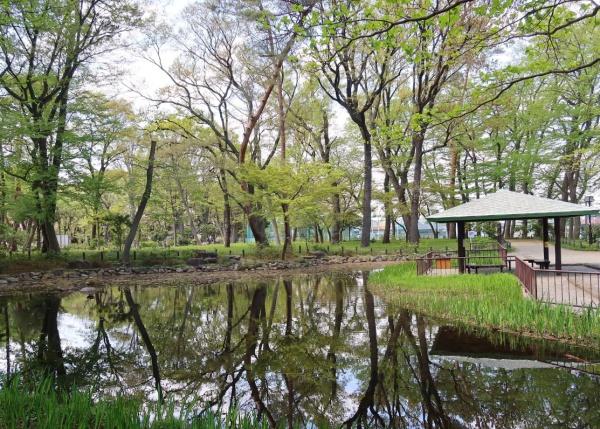 杉並区下高井戸5丁目の土地(塚山公園)