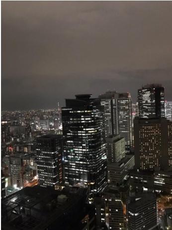 ザ・パークハウス西新宿タワー