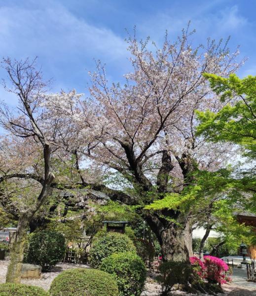 パレ・ソレイユ世田谷二丁目(世田谷城阯公園)