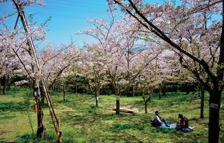 ライオンズマンション上北沢第三(塚山公園)
