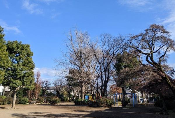 シャトラン調布(布多公園)