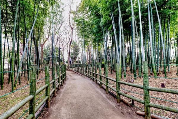 グランシティ目黒碑文谷(すずめのお宿緑地公園)