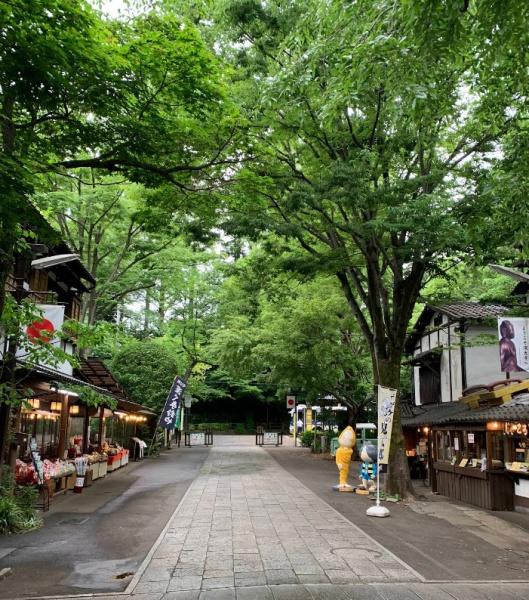 調布市深大寺東町6丁目の新築一戸建(深大寺)