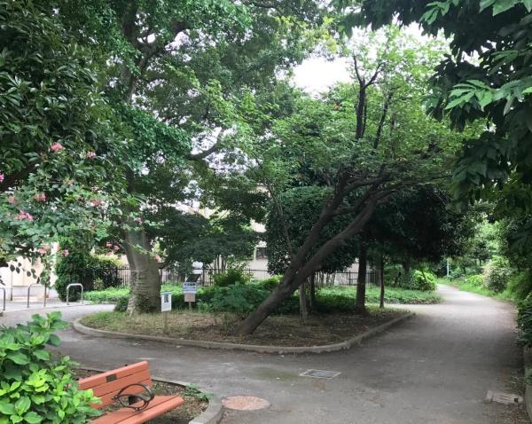 狛江セントラルハイツ3号棟(野川緑地公園)