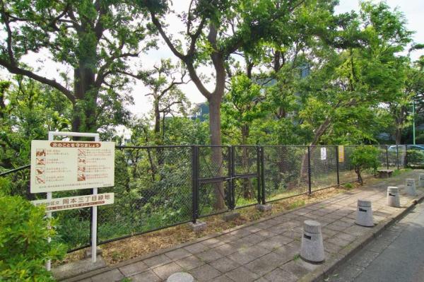 世田谷区岡本３丁目の新築一戸建(岡本三丁目小緑地)