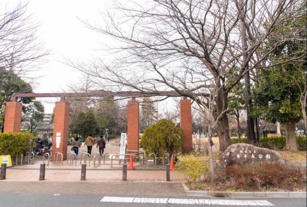 杉並区井草３丁目の新築一戸建(井草森公園)