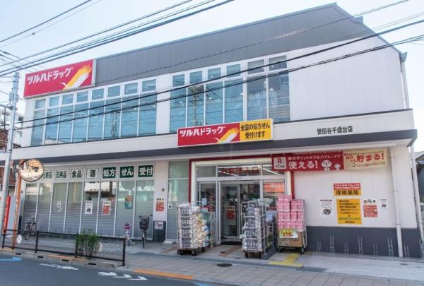 世田谷区千歳台6丁目の新築一戸建(ツルハドラッグ世田谷千歳台店)