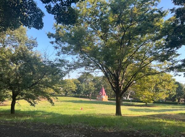 世田谷区千歳台6丁目の新築一戸建(祖師谷公園)