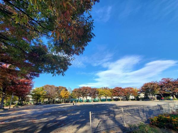クレヴィア新宿中落合EAST(落合中央公園)
