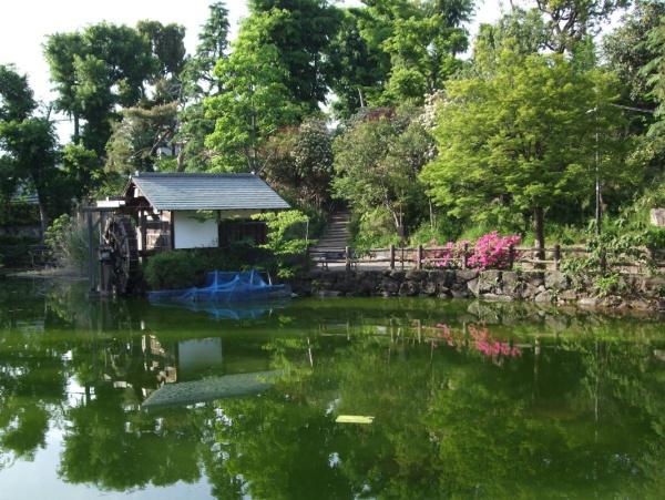 ビバリーホームズ松濤(区立鍋島松濤公園)