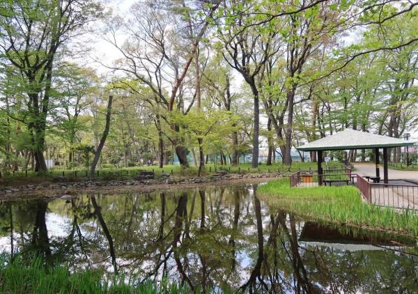 シャンピア北沢(塚山公園)