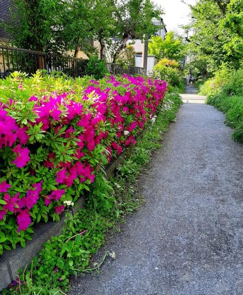 レジデンシャルフラッツ喜多見(岩戸川緑地公園)