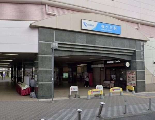 世田谷区梅丘2丁目の中古一戸建て(小田急線梅ヶ丘駅)