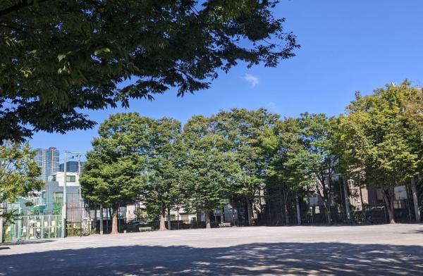 藤和シティコープ新中野(区立谷戸運動公園)