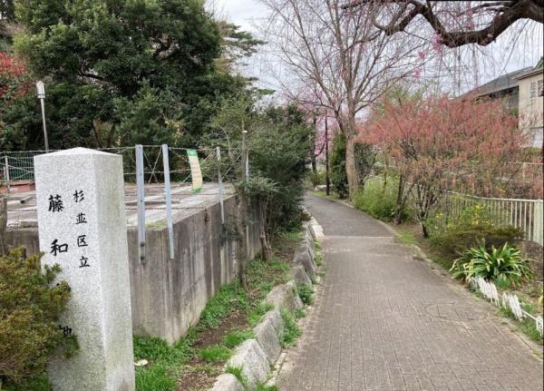 イーリスコート桜上水(藤和緑地)