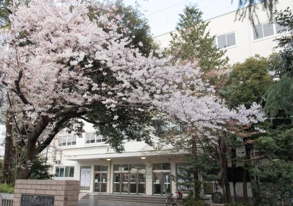 ハイネス文京本駒込(文京区立駒本小学校)