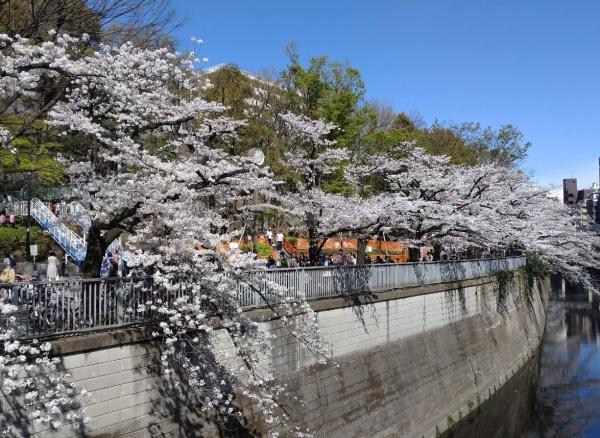 鶴巻マンション(江戸川公園)
