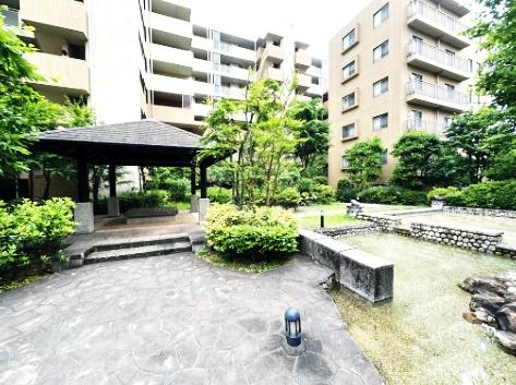 アデニウム吉祥寺