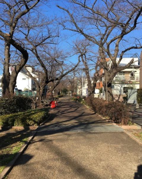 グローリオ等々力(呑川緑道)