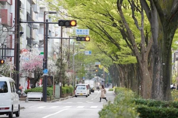 藤和シティホームズ神楽坂(その他)