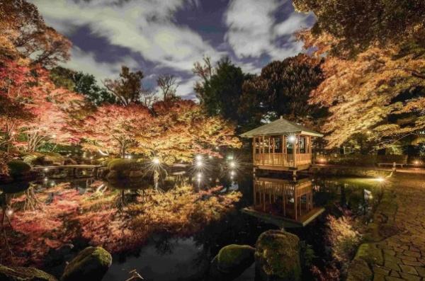アルブル荻窪(大田黒公園)