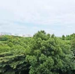 井の頭第2パークサイドマンション(現地からの眺望)