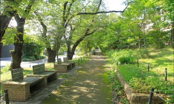 朝日シティパリオ高井戸(区立三井の森公園)