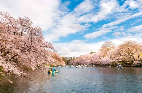 サニーサイド吉祥寺(井の頭恩賜公園)