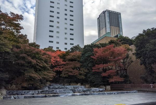 プラウドタワー東池袋ステーションアリーナ(東池袋中央公園)