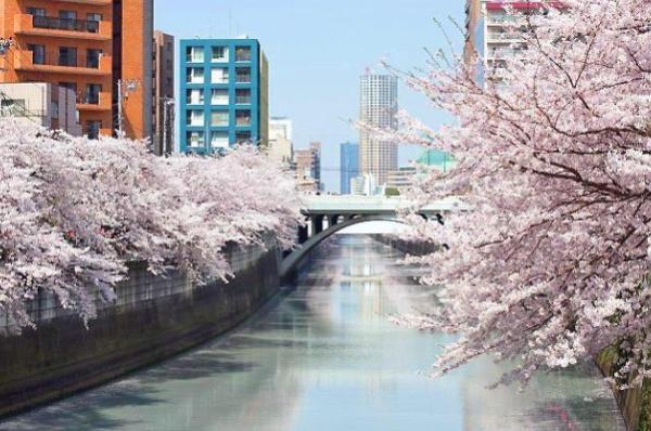 イトーピア目黒青葉台