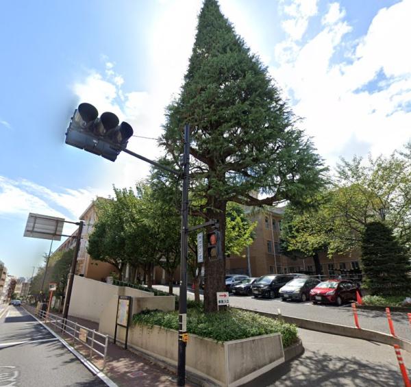 エコロジー落合レジデンス１(社会福祉法人聖母会聖母病院)