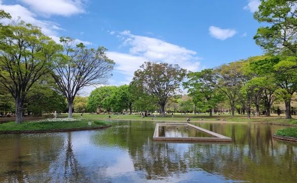 ヴィーナ・パルテール(代々木公園)
