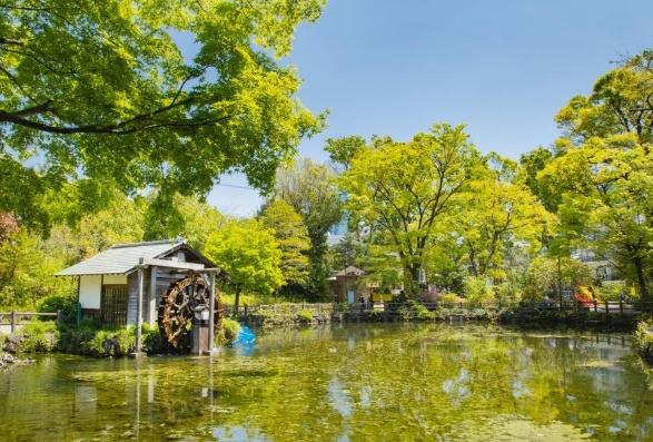 ヴィーナ・パルテール