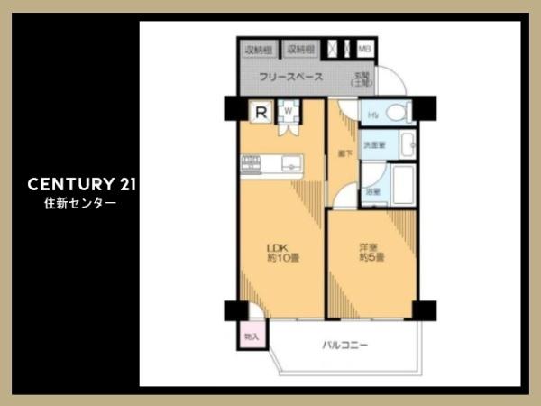 シャンボール弦巻