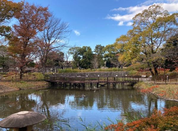 ディナスカーラ品川戸越(文庫の森)