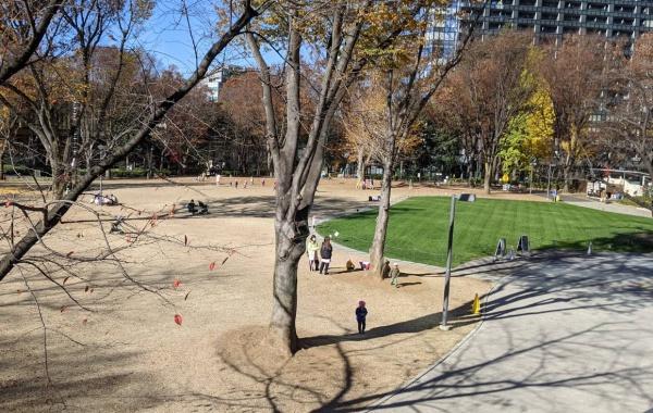 ザ・パークハウス西新宿タワー６０(新宿中央公園)