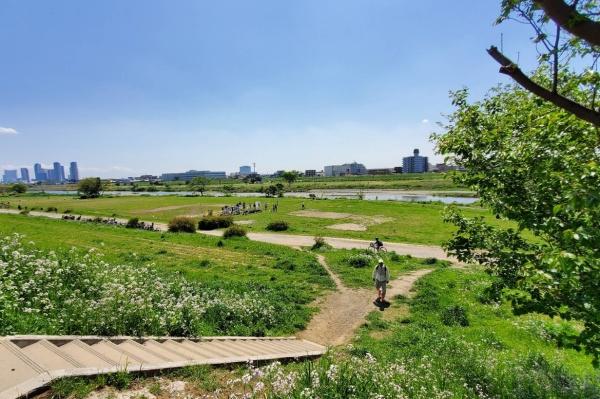 マイキャッスル二子玉川園(多摩川遊園)