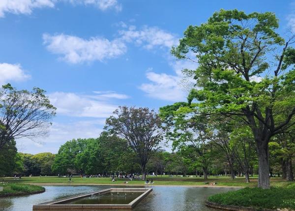 代々木ロイヤルマンション(東京都立代々木公園)
