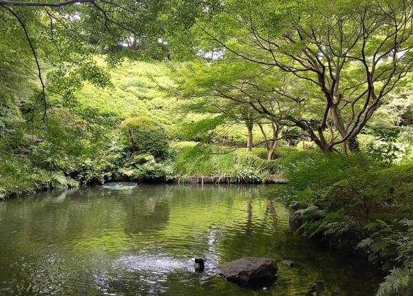 朝日マンション目黒(池田山公園)