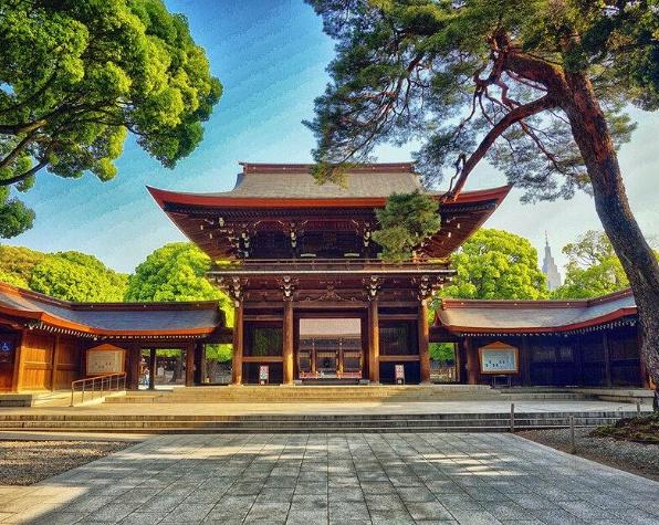 ザ・パームス代々木(明治神宮)