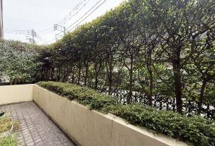 ザ・パームス代々木