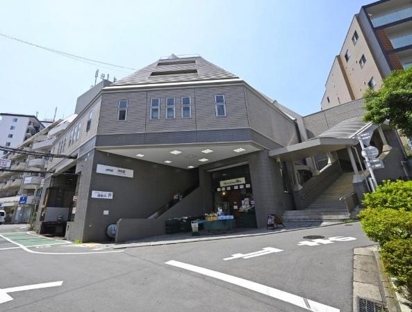 モデルノトッレ松濤