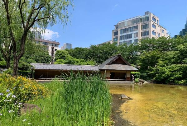 パークコート赤坂檜町ザ　タワー(区立檜町公園)