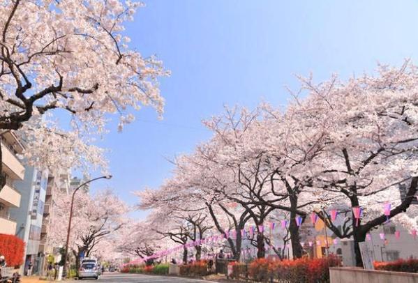 オープンレジデンシア小石川播磨坂